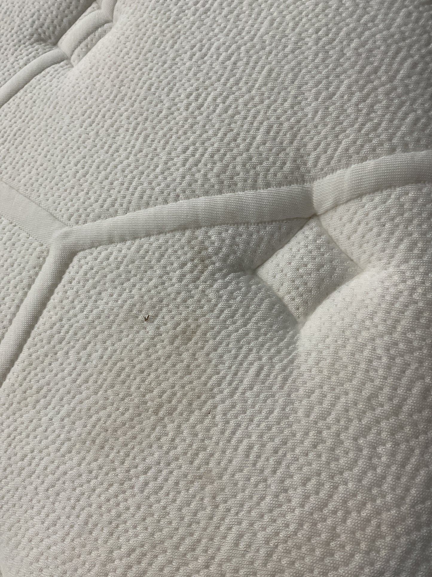 NZ CLZ20599 1 PCE CELESTIAL FIRM MATTRESS NZ KING BY FREEDOM