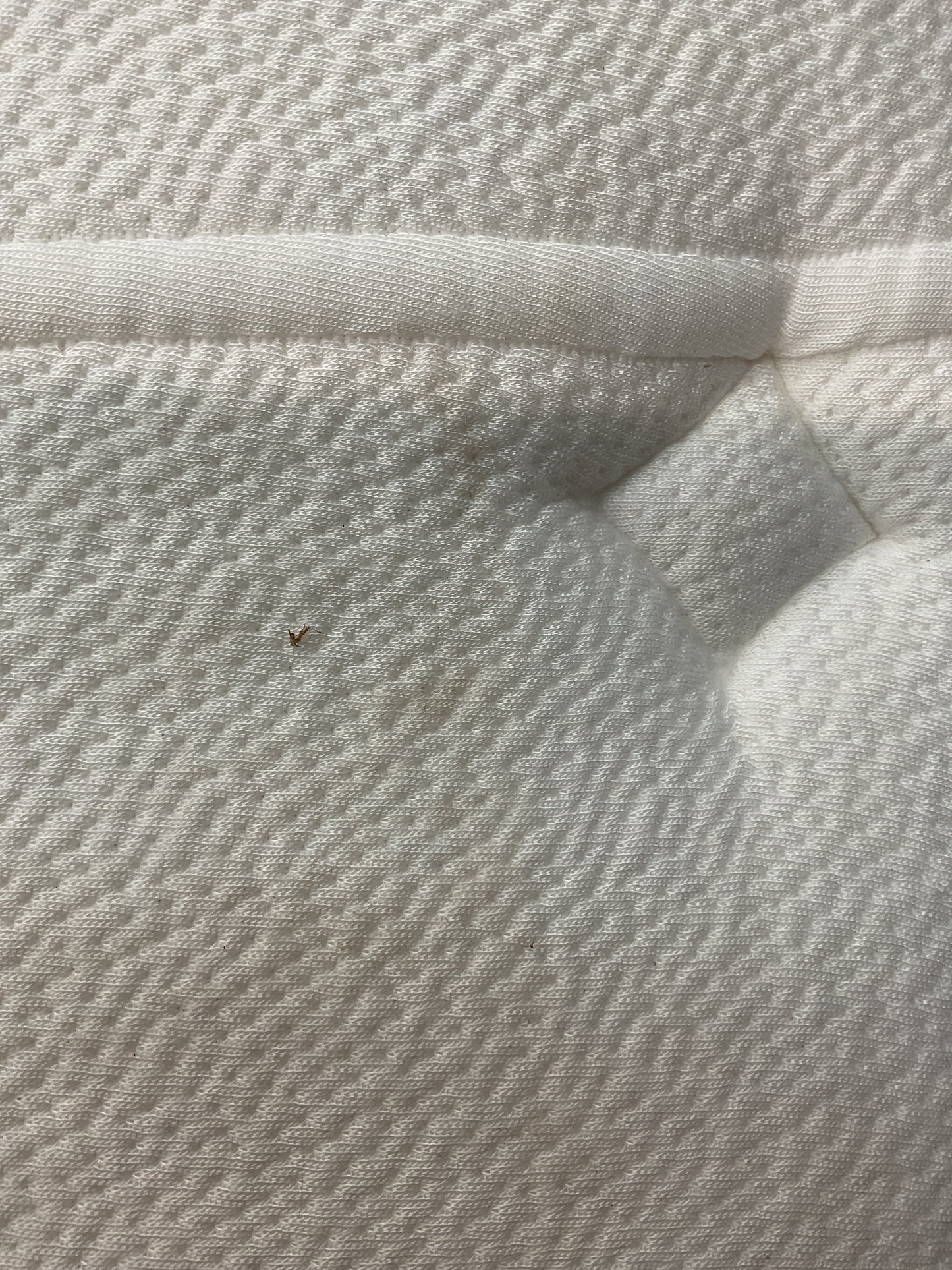 NZ CLZ20599 1 PCE CELESTIAL FIRM MATTRESS NZ KING BY FREEDOM