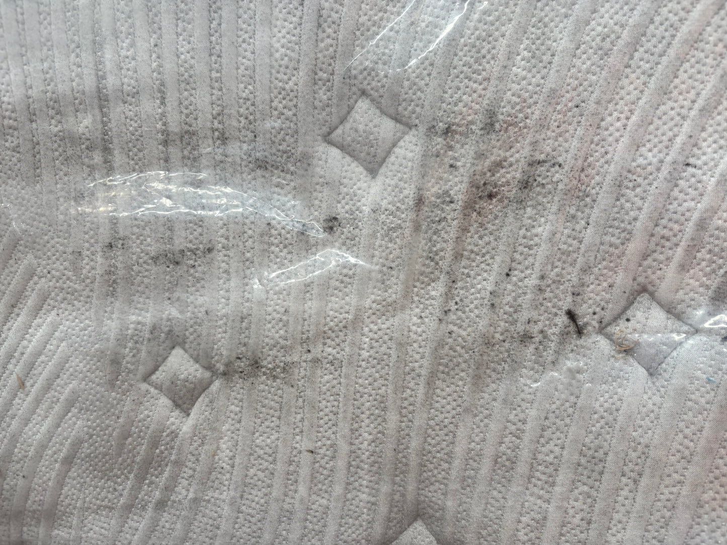 NZ CLZ20320 Nimbus Firm Mattress Queen by Freedom