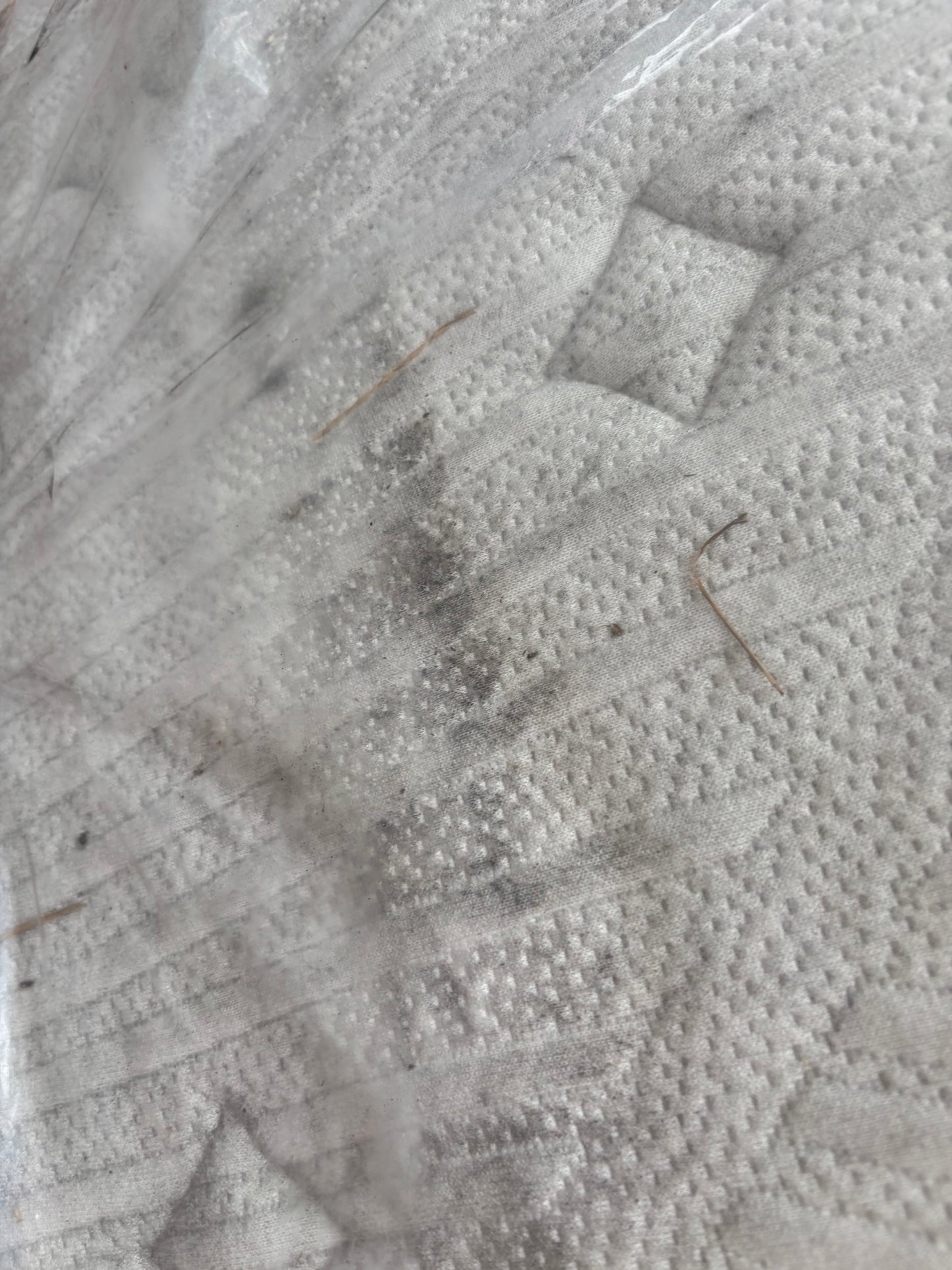 NZ CLZ20320 Nimbus Firm Mattress Queen by Freedom