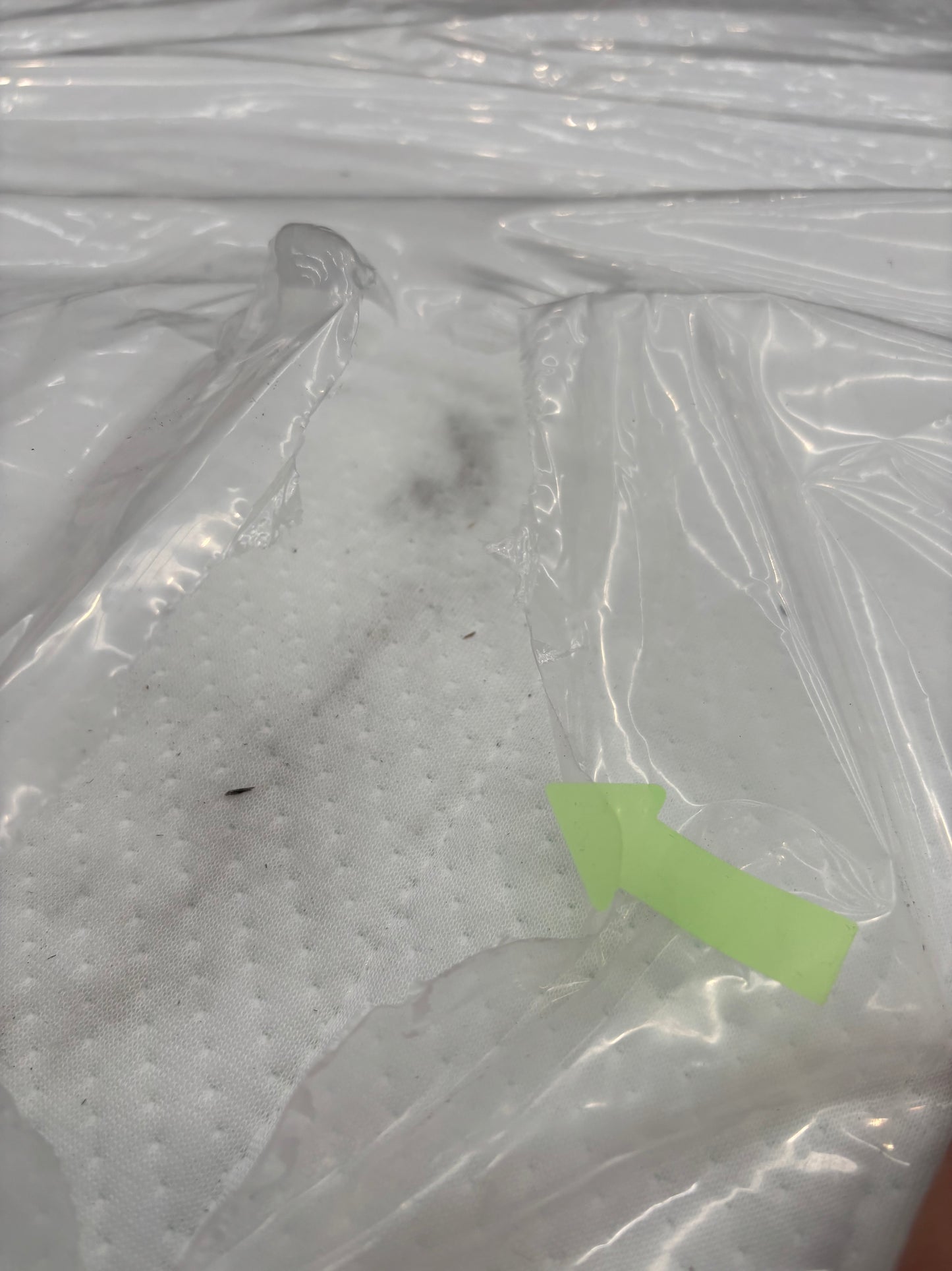 NZ CLZ20084 Celestial Medium Mattress NZ King by Freedom