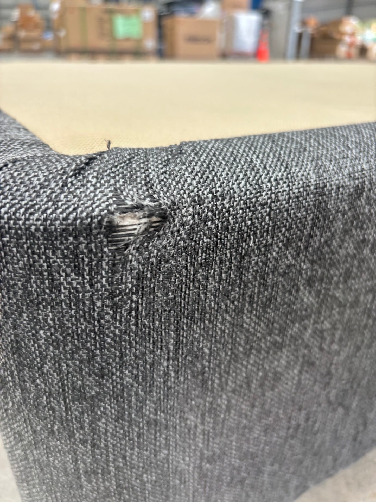 NZ CLZ20267 Domino Bed Base Long Single Platform Standard Carbon