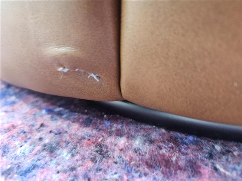 NZ CLZ20366 Sweeny Dining Chair Tan